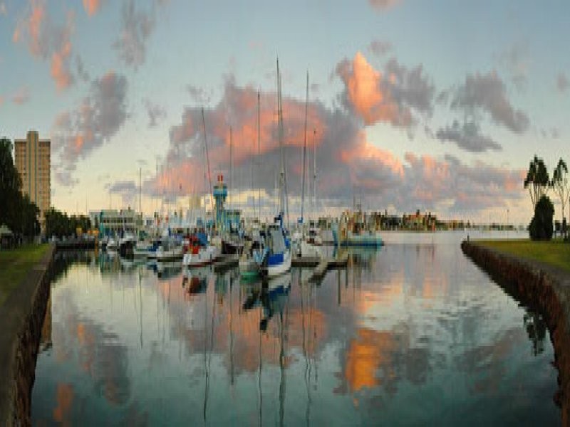 Mooloolaba QLD 4557