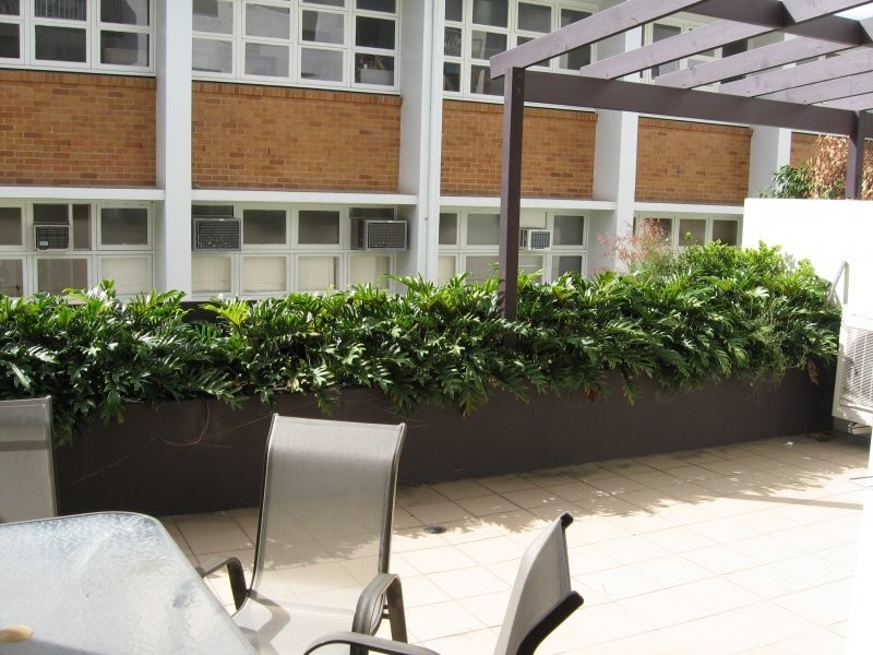 82 Berwick, Fortitude Valley QLD 4006