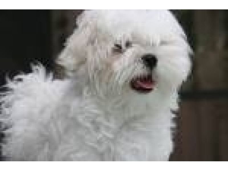 Chevron Island QLD 4217