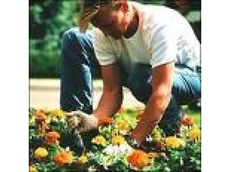 Chevron Island QLD 4217