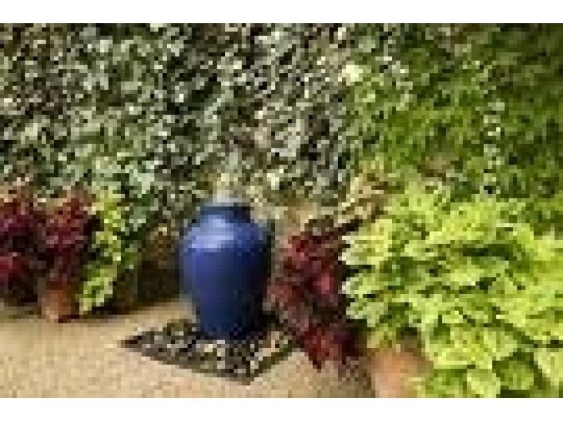 Chevron Island QLD 4217