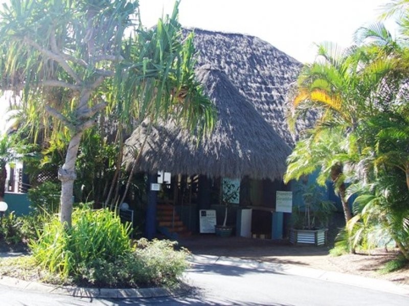 ID 8075, Point Lookout QLD 4183