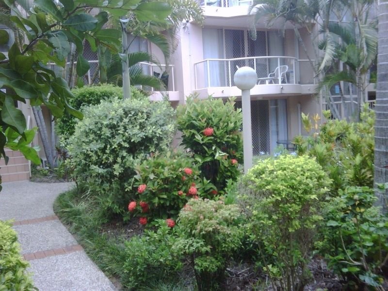 Miami QLD 4220