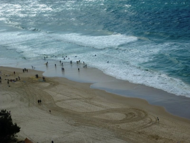 ID 8104, Surfers Paradise QLD 4217