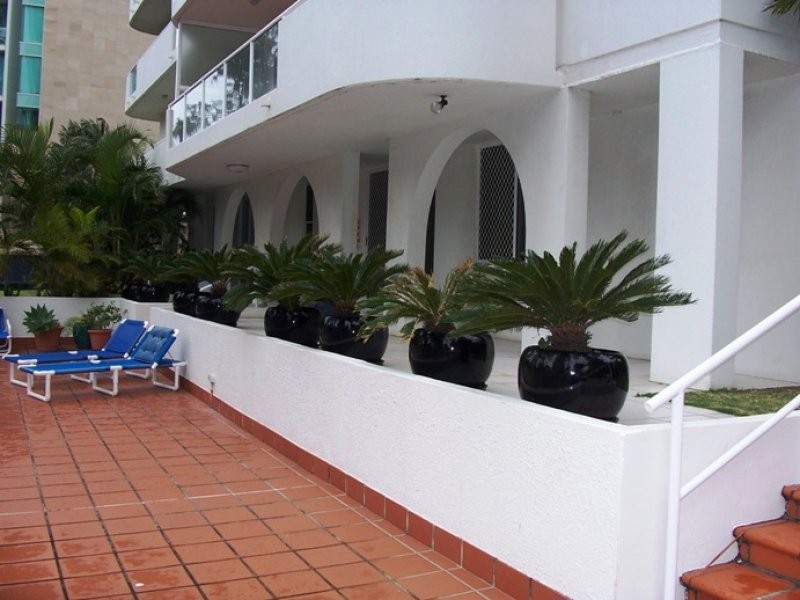 ID 8114, Surfers Paradise QLD 4217