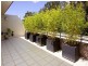ID 8017, Paddington NSW 2021