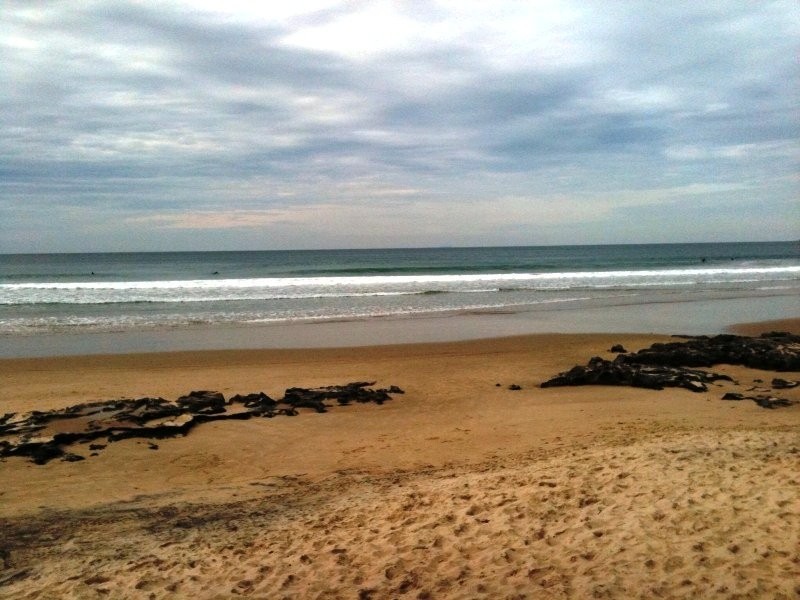 Maroochydore QLD 4558