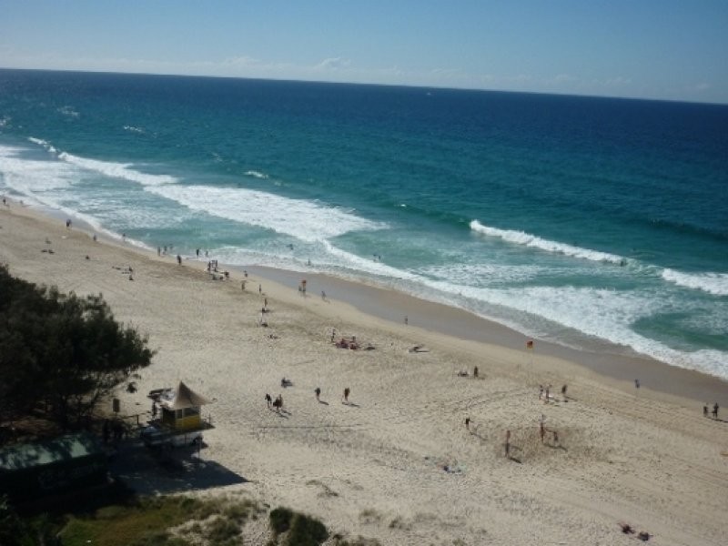 ID 8119, Surfers Paradise QLD 4217