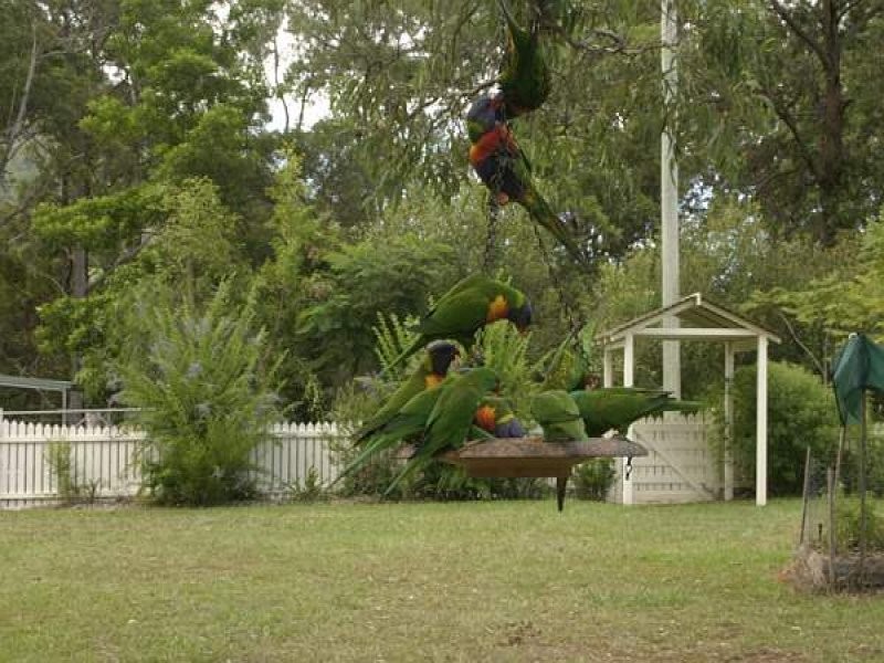 Chillingham NSW 2484