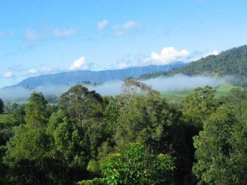 Chillingham NSW 2484