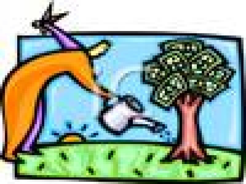 Chevron Island QLD 4217