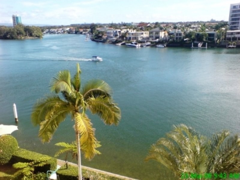 ID 8135, Surfers Paradise QLD 4217