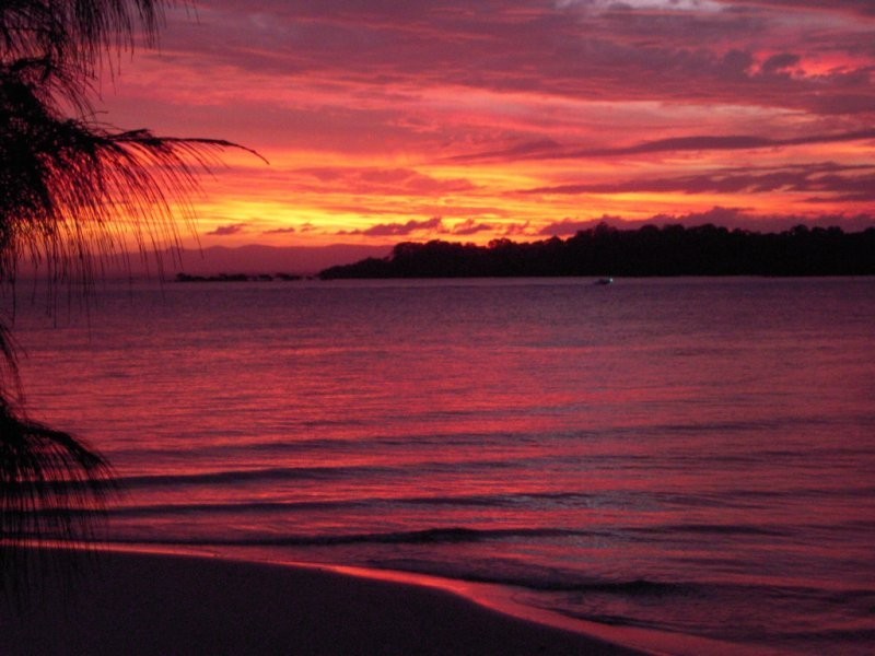 ID 8141, Bribie Island QLD 4507