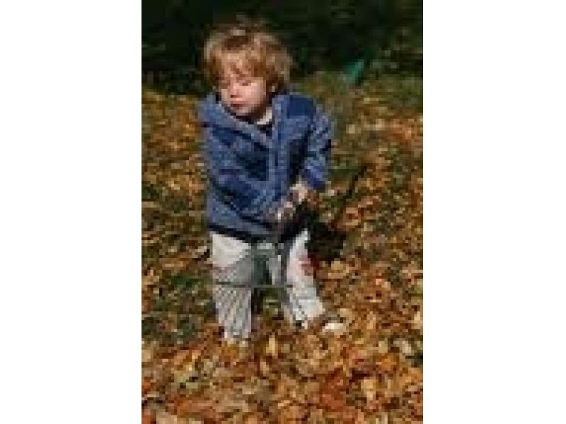 Varsity Lakes QLD 4227