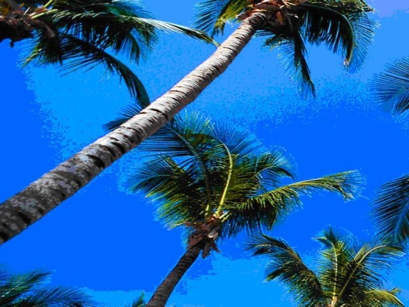 Chevron Island QLD 4217