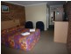 Tenterfield NSW 2372