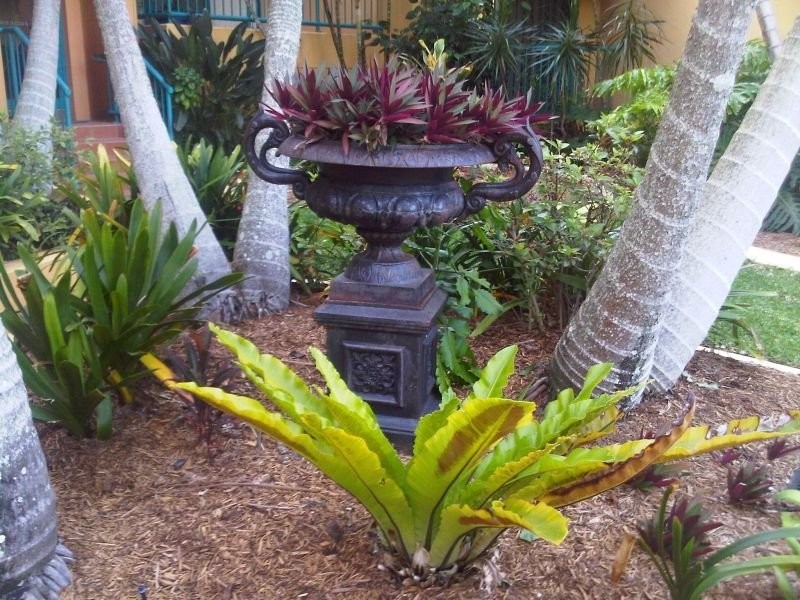 Coolangatta QLD 4225