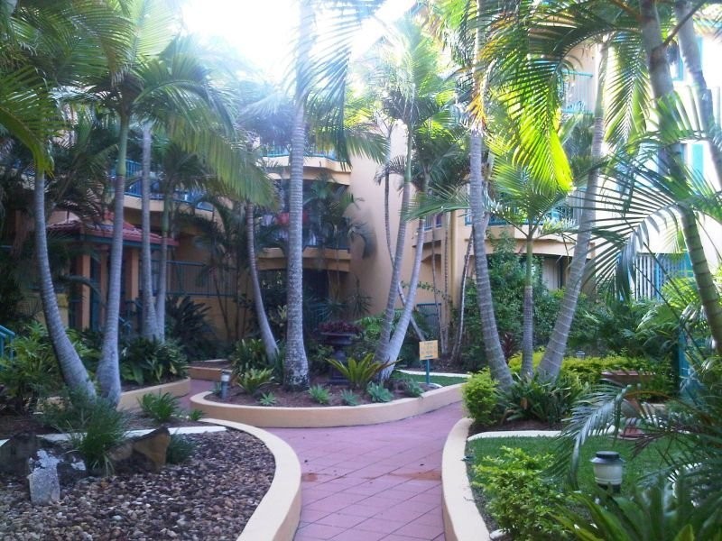 Coolangatta QLD 4225