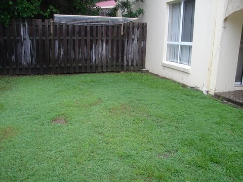 11/6 Buddy Holly Close, Parkwood QLD 4214