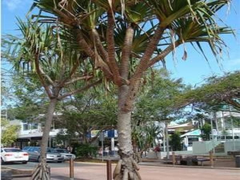 Noosa Heads QLD 4567