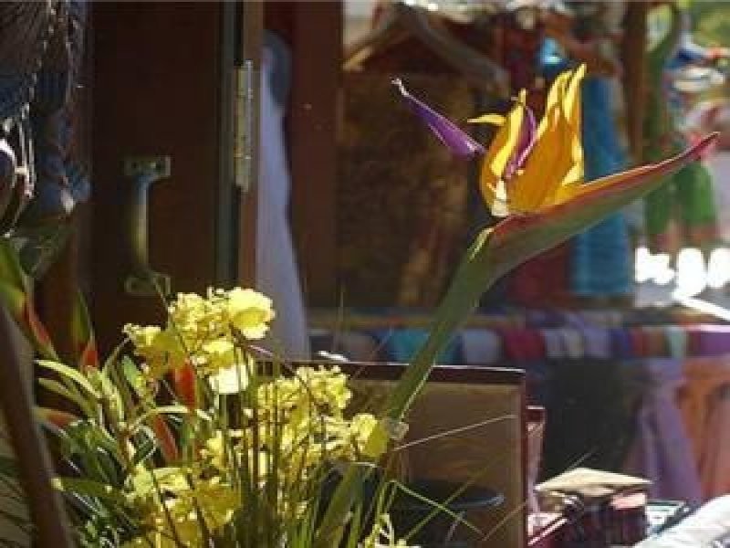 Noosa Heads QLD 4567