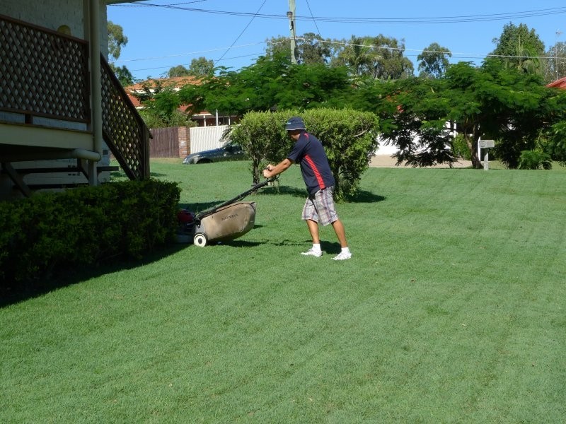 6 PENAMBER COURT, Benowa QLD 4217