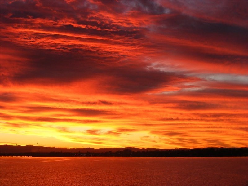 401/14 Oxley Ave, Woody Point QLD 4019