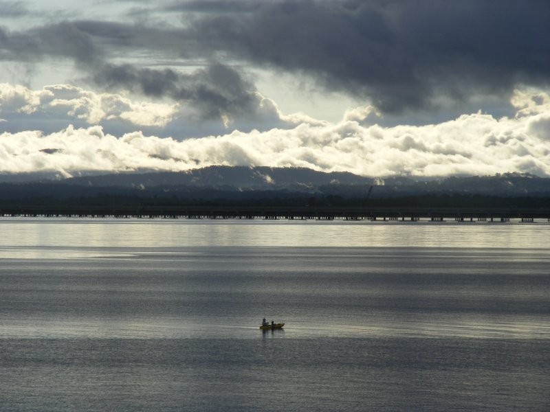 401/14 Oxley Ave, Woody Point QLD 4019