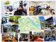 60 Tribune, South Bank QLD 4101