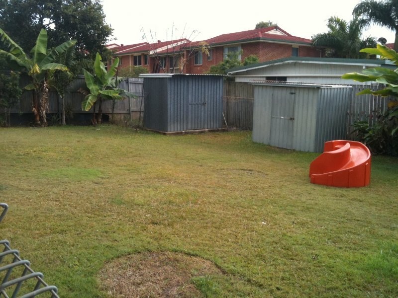 37 Neils st, Pialba QLD 4655
