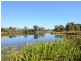 Urangan QLD 4655