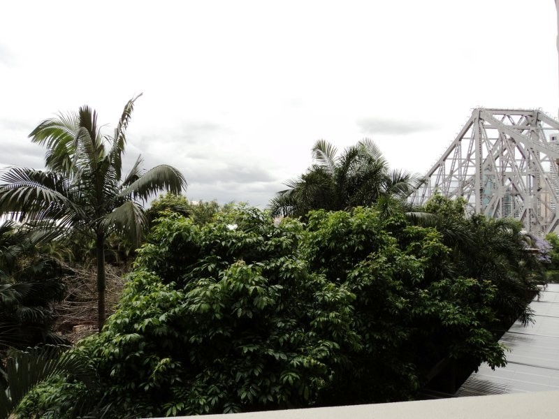 208 / 100 Bowen Terrace, New Farm QLD 4005