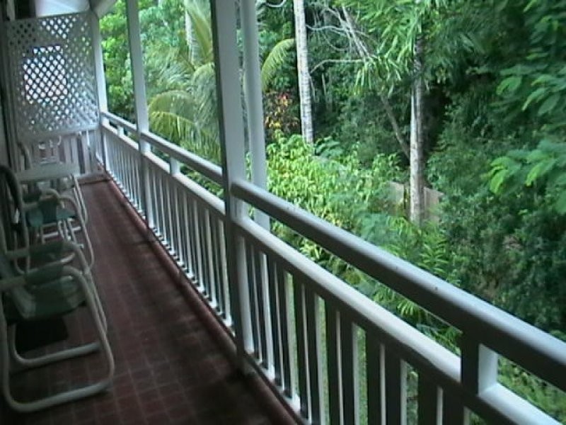 31 Nautilus Street, Port Douglas QLD 4877