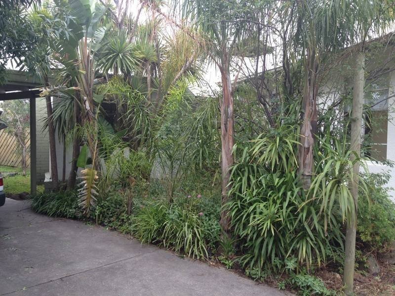 5 Prunus Ct, Bellfield VIC 3081