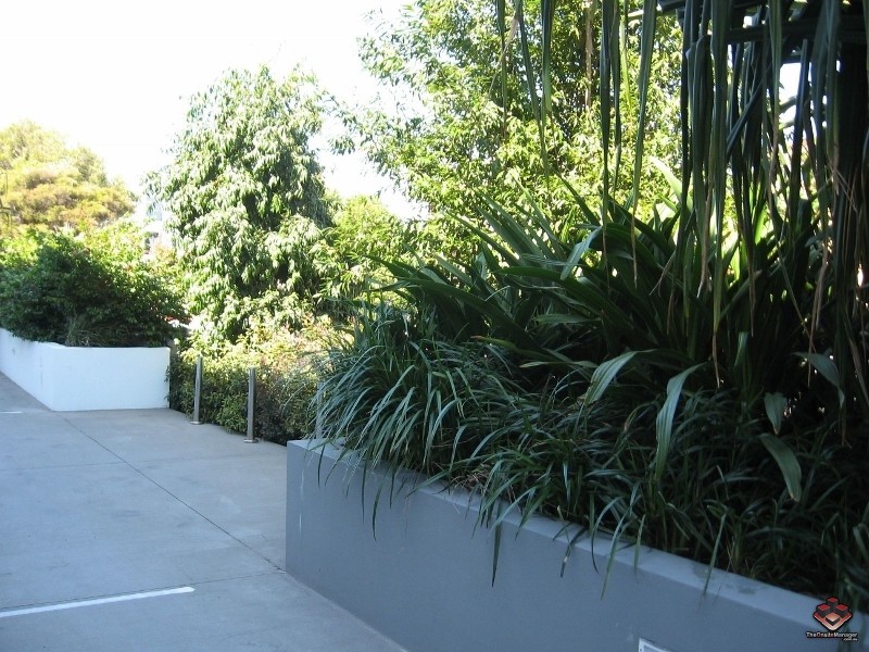 /33-37 Madang Crescent, Runaway Bay QLD 4216