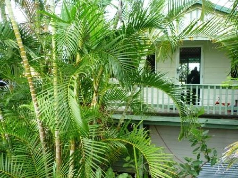 20 Moonbi Street, Scarness QLD 4655