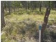 Lot 55 Coast Road, Baffle Creek QLD 4674