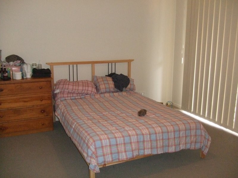 26 Johnston Street, Carina QLD 4152