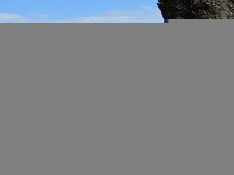 14 Oxley Ave, Woody Point QLD 4019