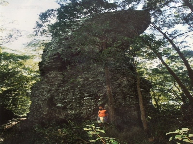 677 Tomewin Mountain Rd, Currumbin Valley QLD 4223