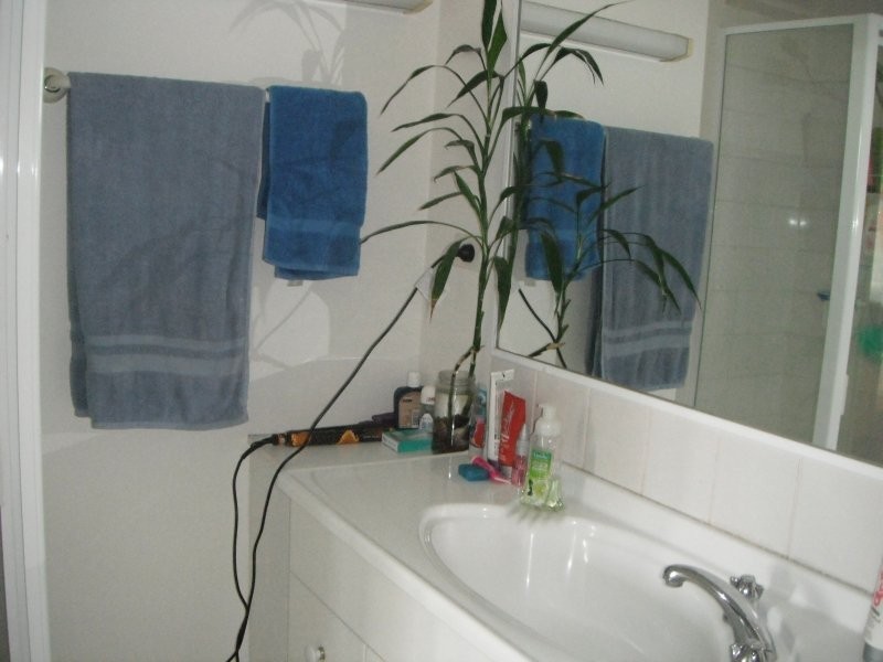 Clear Island Waters QLD 4226