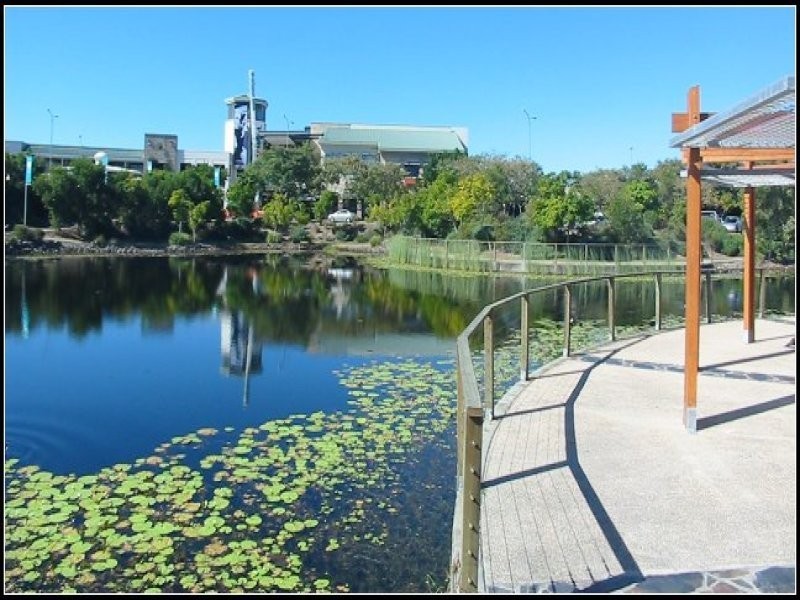 11 Arbour Avenue, Robina QLD 4226