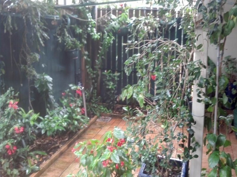 17 Santa Cruz Blvd, Clear Island Waters QLD 4226