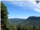 677 Tomewin Mountain Rd.,, Currumbin Valley QLD 4223
