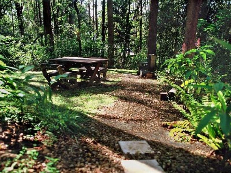 677 Tomewin Mountain Rd.,, Currumbin Valley QLD 4223