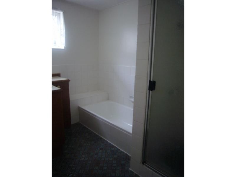 46 Rialto Street, Coorparoo QLD 4151