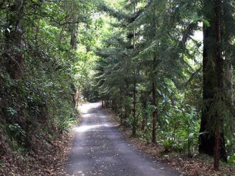 Murwillumbah NSW 2484