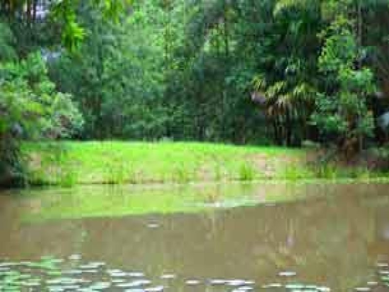 Murwillumbah NSW 2484