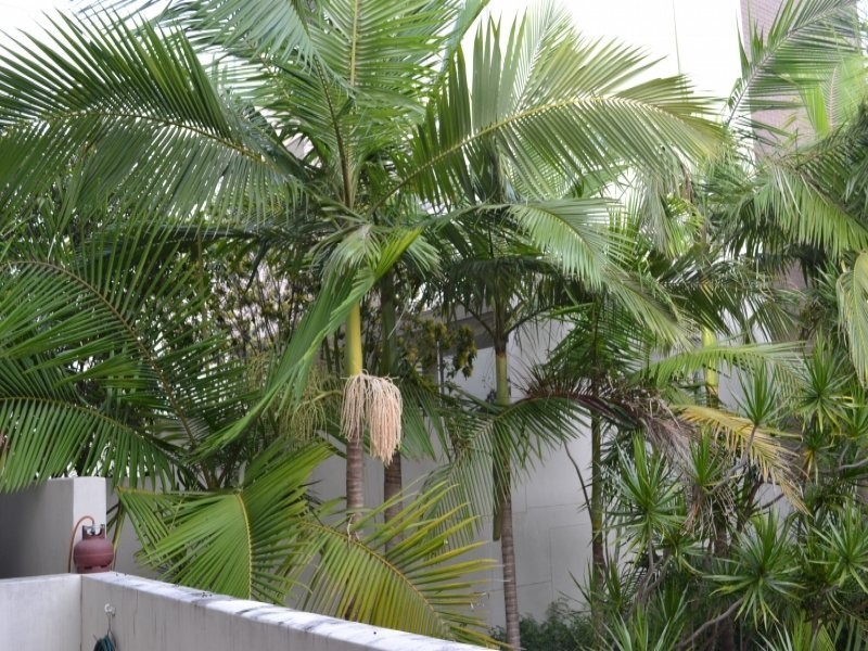 8-12 Macquarie Street, Teneriffe QLD 4005