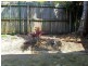 60 Whitby, Southport QLD 4215